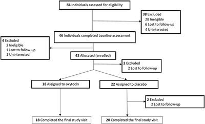 Intranasal Oxytocin for Stimulant Use Disorder Among Male Veterans Enrolled in an Opioid Treatment Program: A Randomized Controlled Trial